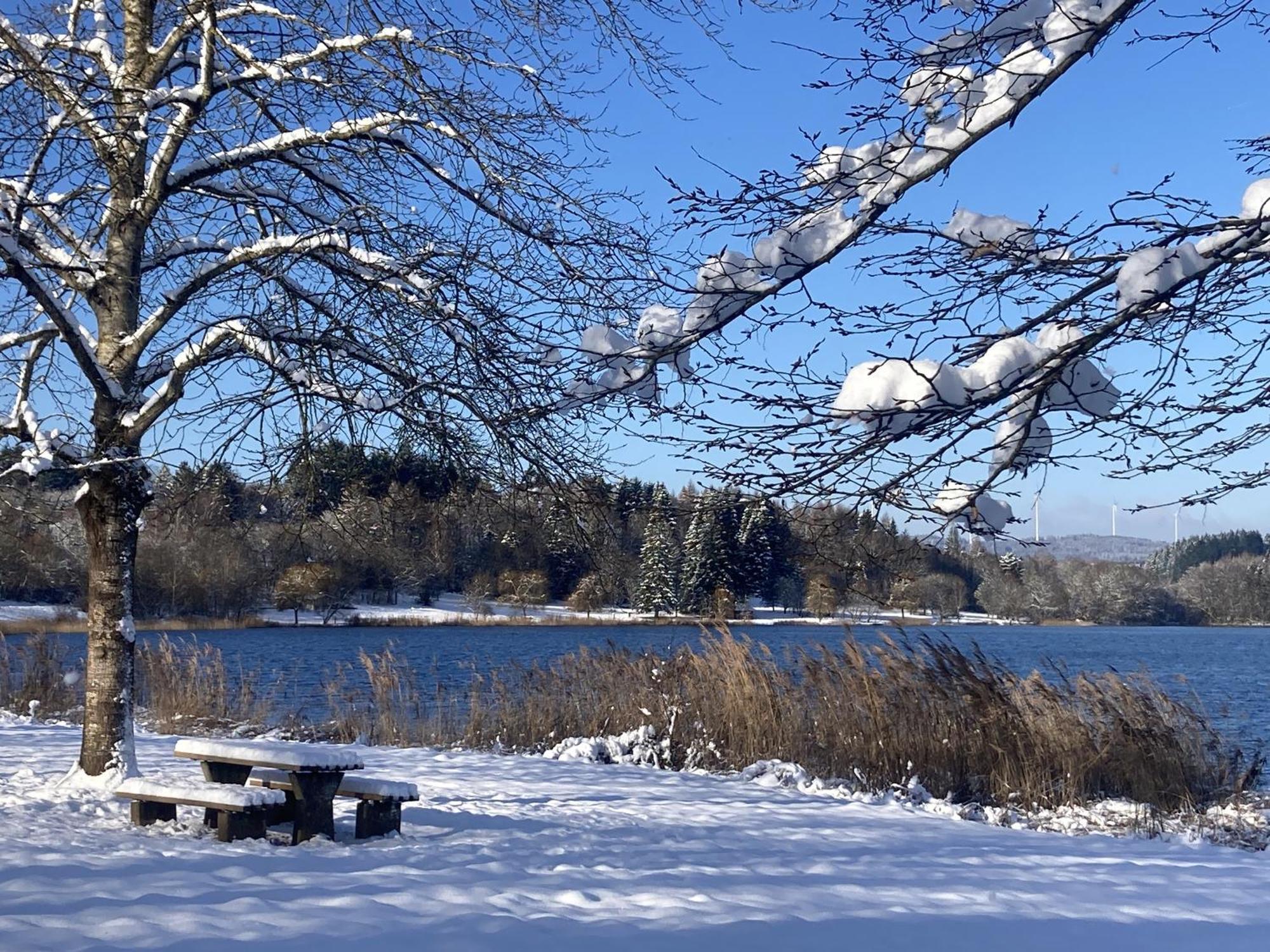 Draussen Am See Losheim Eksteriør bilde